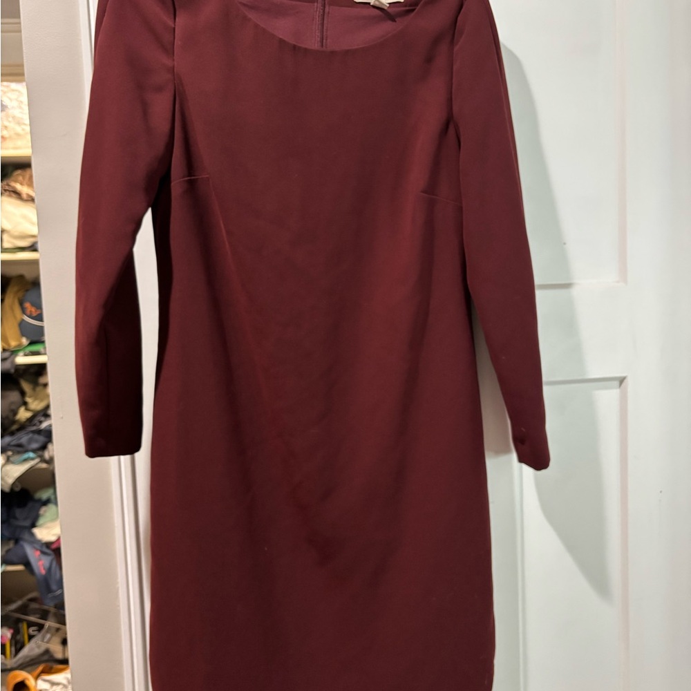 Elegant Burgundy Dress